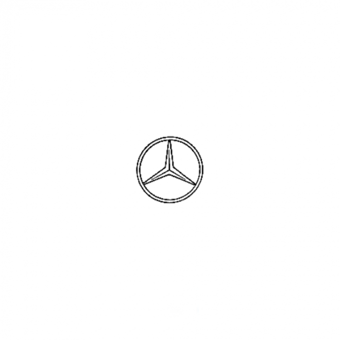Mercedes-Benz Mercedesstern an Heckklappe, Druckschloss an Heckdeckel, C-Klasse (W202) 