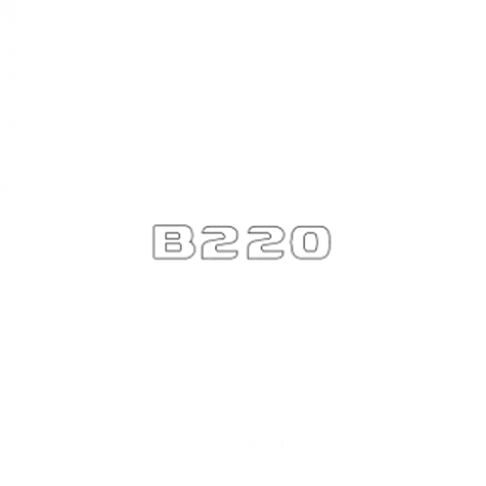 Mercedes-Benz Typkennzeichen an Rückwandtür "B220", B-Klasse W247 